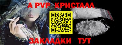 дмт Гай