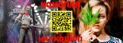 дмт Гай