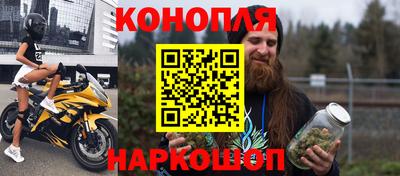 дмт Гай