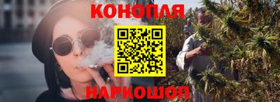 дмт Гай