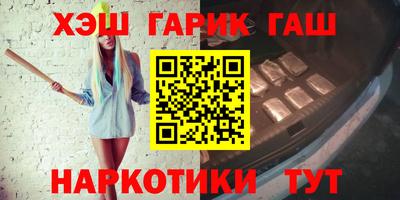 дмт Гай