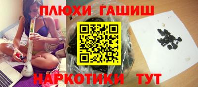 дмт Гай