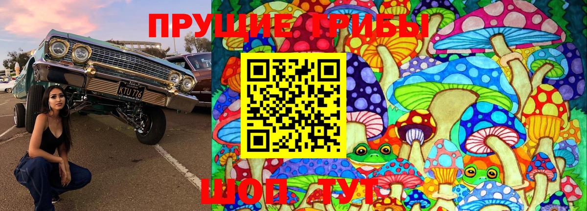 Псилоцибиновые грибы Cubensis Новотроицк