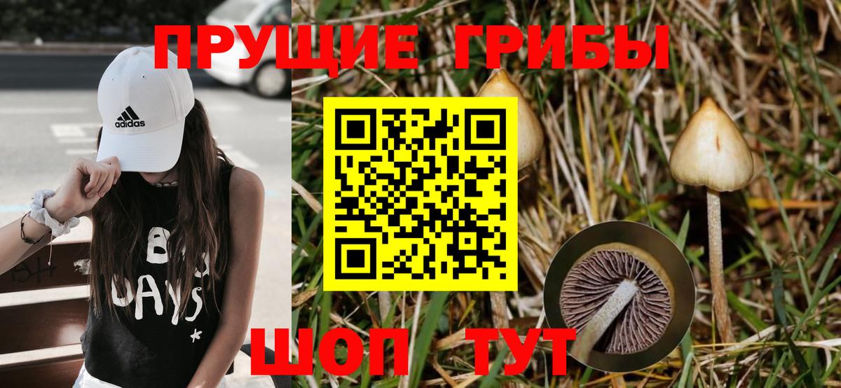 Галлюциногенные грибы мухоморы  Новотроицк  Галлюциногенные грибы GOLDEN TEACHER 