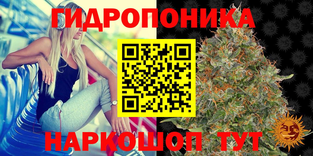 Бошки марихуана марихуана Новотроицк